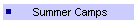 Summer Camps