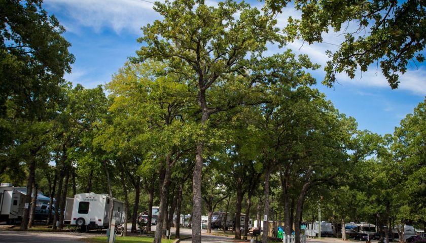 The Treetops RV Resort was aptly named for its tree-studded acreage. Photo courtesy Treetops Resort.